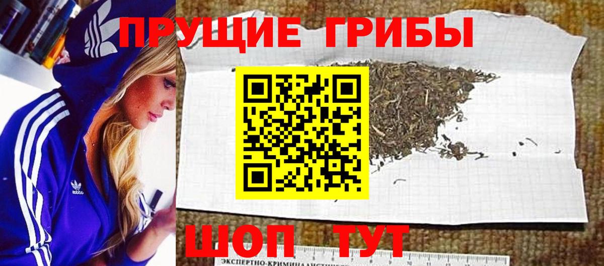 Псилоцибиновые грибы Psilocybine cubensis  что такое наркотик  Усолье-Сибирское  Вход с VPN 