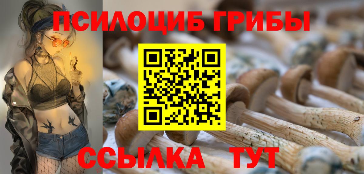 Псилоцибиновые грибы мицелий Усолье-Сибирское
